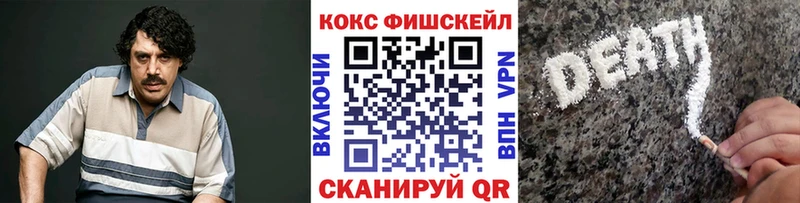 Купить закладки  Богородск  COCAIN Fish Scale 
