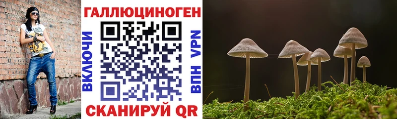 Галлюциногенные грибы мухоморы  Купить закладки  Богородск 
